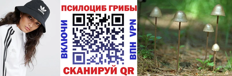 mega ссылка  Коряжма  Галлюциногенные грибы мицелий 